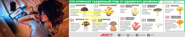 спиды Покачи
