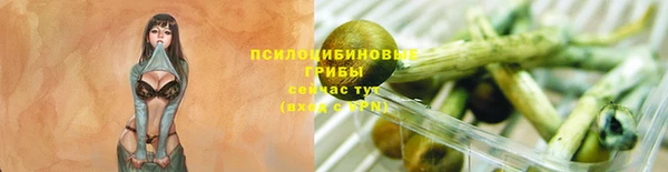 спиды Покачи