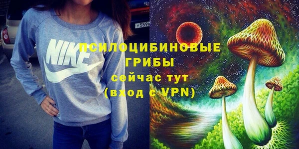 спиды Покачи