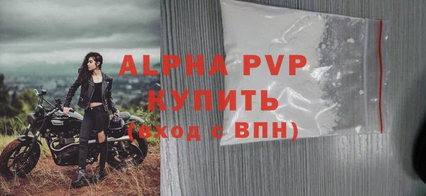 спиды Покачи